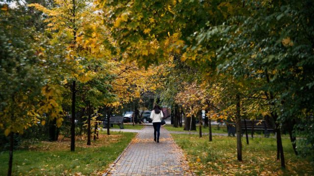 Алдағы демалыс күндері ауа райы қандай болады?