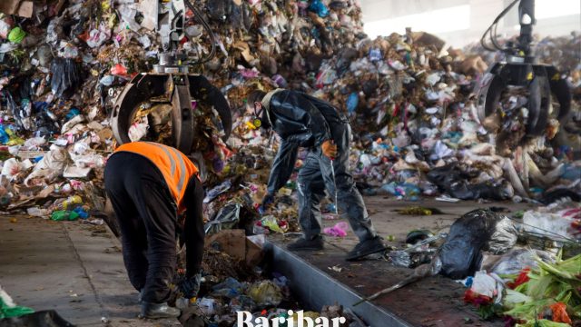 Семейде қоқыс жәшігінен нәрестенің мәйіті табылды