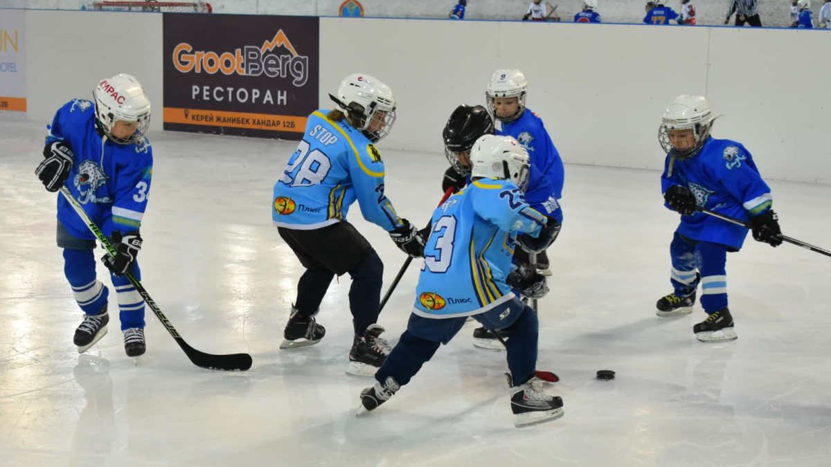 Хоккей