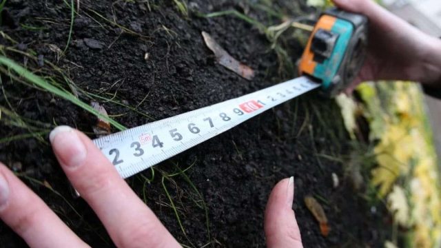 Бас прокуратура жер телімдерін беру тәртібін бұзған әкімдіктерді анықтады