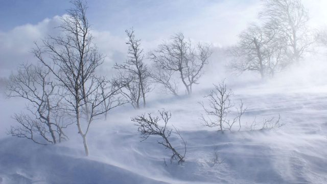7 ақпан күнгі ауа райы: жауын-шашын, бұрқасын, аяз