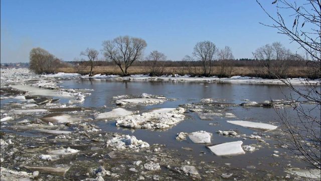 Сырдария өзенінің арнасынан шығу қаупі бар