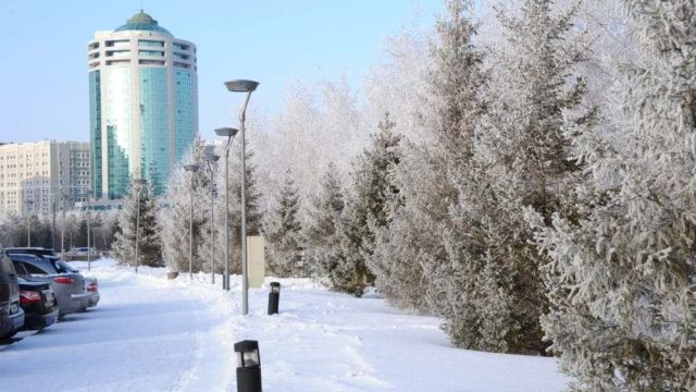 ТЖД көктайғаққа байланысты үндеу жасады