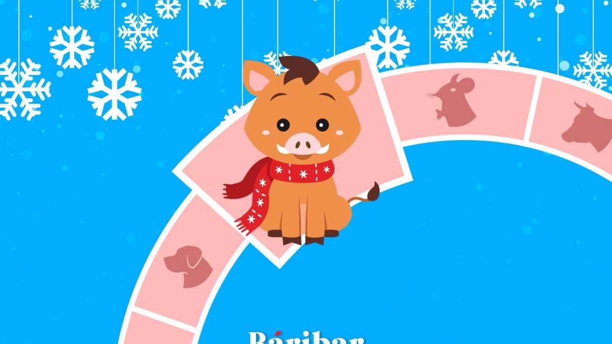Доңыз