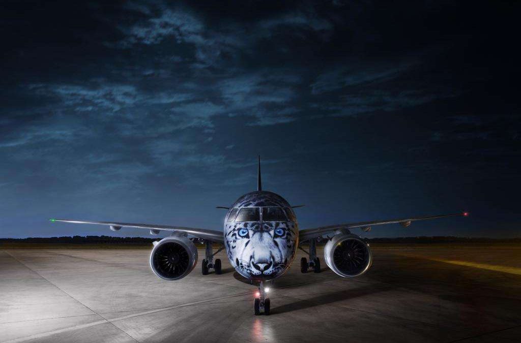 Ілбіс бейнеленген ұшақ Air Astana АҚ