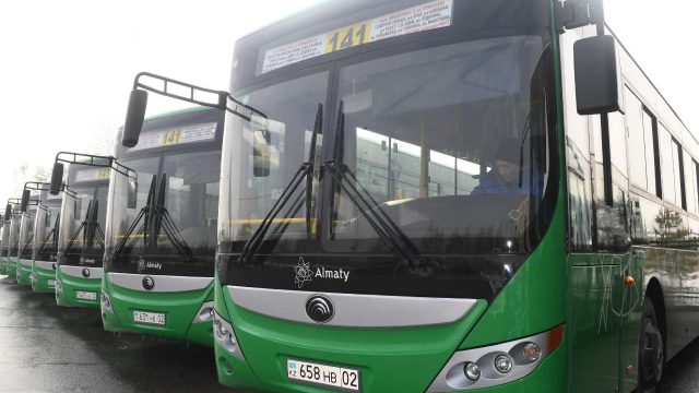 Алматыда жаңа форма киген жүргізушісі бар автобустар жолаушы тасымалдай бастайды
