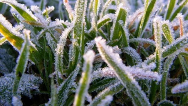 Алдағы үш тәулікте елімізде 10 градус аязға дейін суық болады