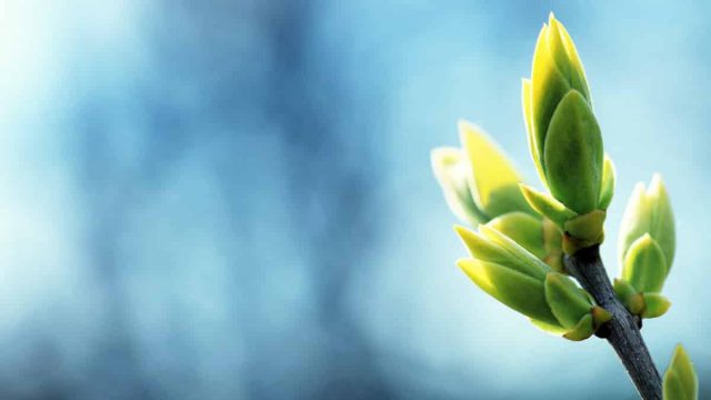 Елімізде 14-16 сәуір күндері ауа райы қандай болады?