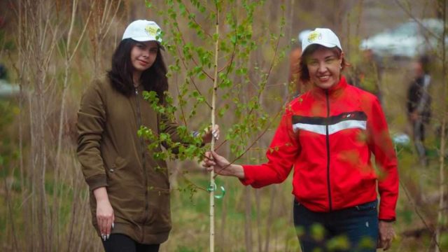 Алматыда жасыл желекті күтудің жаңа ережесі бекітіледі