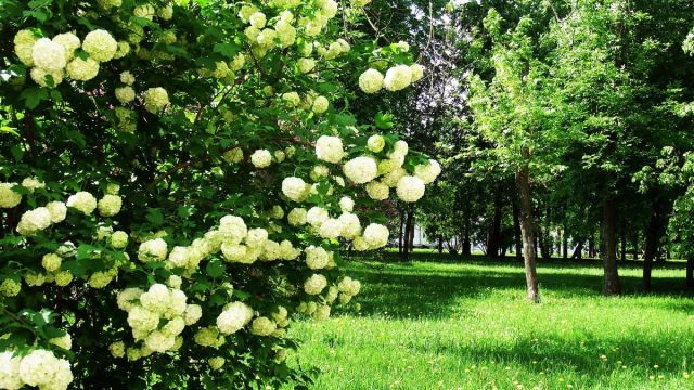 20-22 мамыр күндеріне арналған ауа райы болжамы