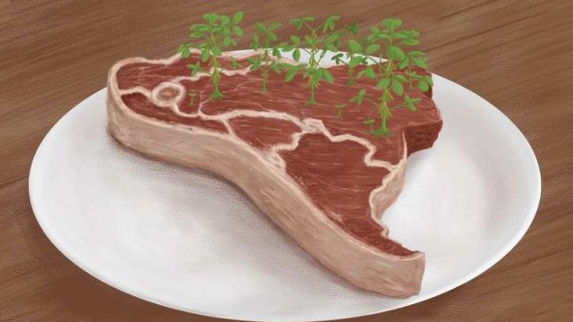 Қазақстандықтардың етті көп жеуі бағаның өсуіне себеп болды