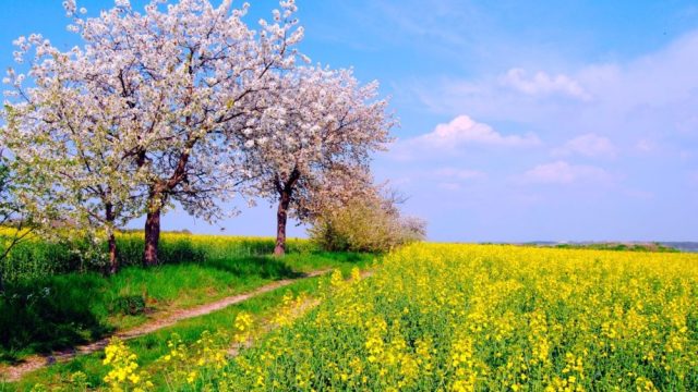 28 мамырда батыстан басқа өңірлерде күн ашық болады