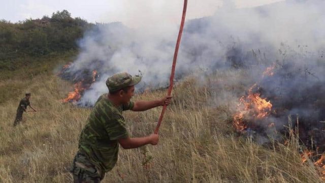 Қазақстанда қатты ыстықтан ормандар мен далалар өртеніп жатыр