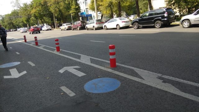 Қоғамдық кеңес мүшесі Алматыдағы веложол неге өзгертілгенін айтты