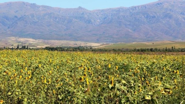 Парламент жер туралы заңға түзетулер енгізді