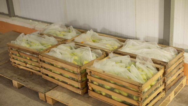 Әлихан Смайылов фермерлерге субсидия төлеуді тапсырды