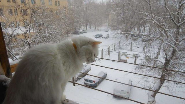 Алдағы үш тәулік ішінде ауа райы қандай болады?