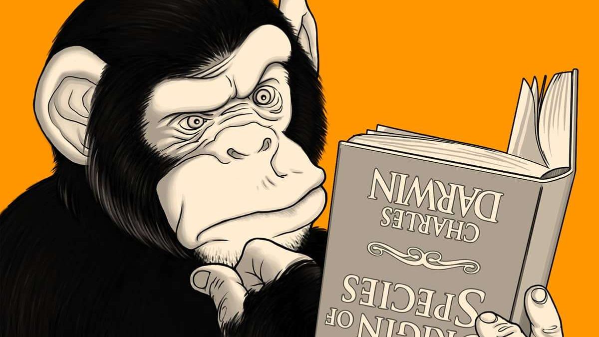 Чарльз Дарвин, маймыл