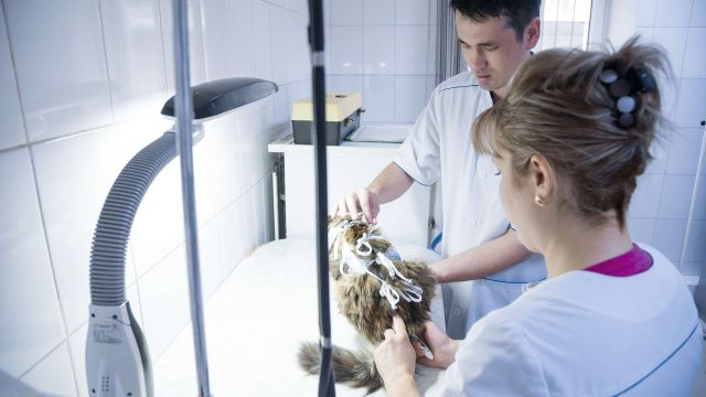 Қазақстанда тағы бір кәсіби мереке пайда болады