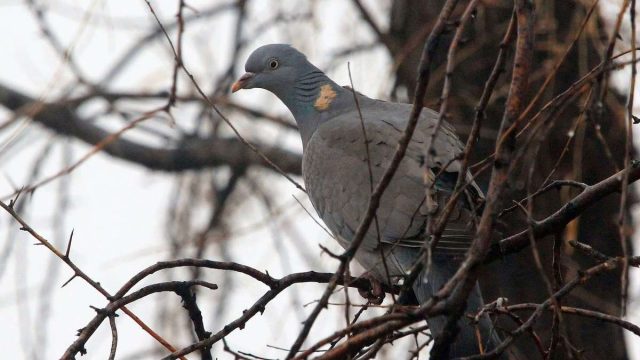 12-14 наурыз күндері ауа райы қандай болады?