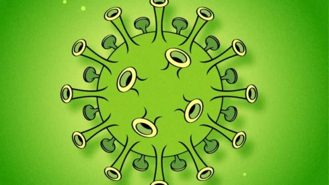 Фактчек: коронавирус инфекциясы туралы 10 миф