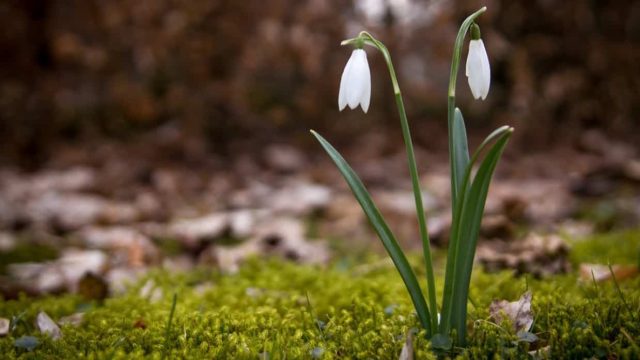 9 сәуір: Елімізде алдағы күндері ауа райы қандай болады?