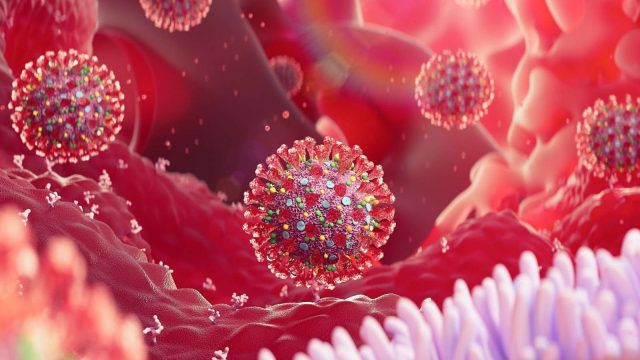 Үндістанда қос мутациясы бар коронавирус анықталды