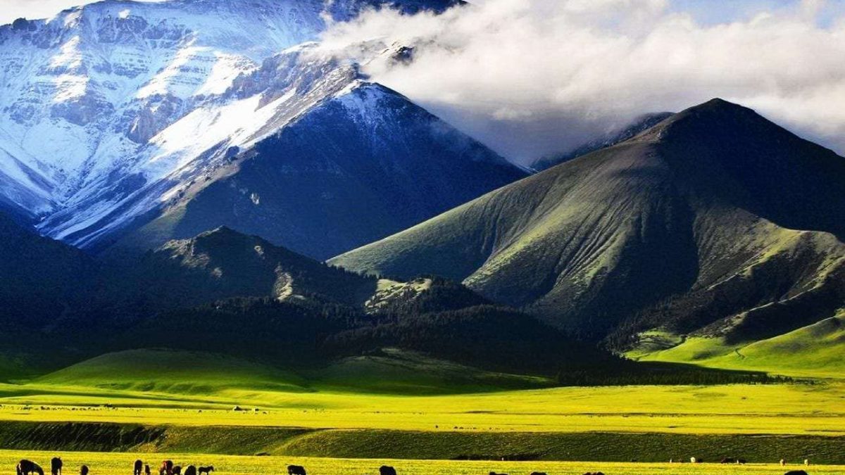 Туған жер бағдарламасы, табиғат