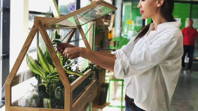 Елімізде ситиферма қалай пайда болды және ол не үшін керек?