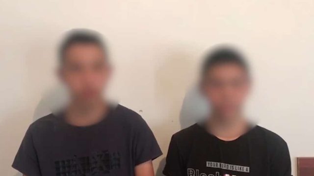 Тірі күшікті өртеп жіберген балаларға қатысты қылмыстық іс қозғалды