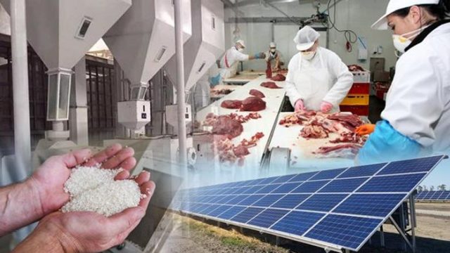 Қызылорда облысының 2023 жылға дейінгі «Экономикалық даму картасы» әзірленді