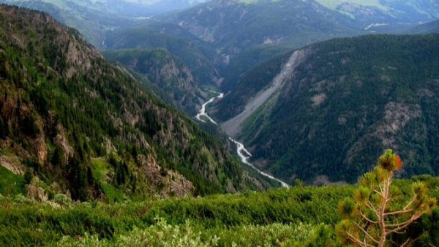 Праймериз арқылы ұлтқа мінезбен қызмет ететін көшбасшыларды іріктеу керек – мәслихат депутаты