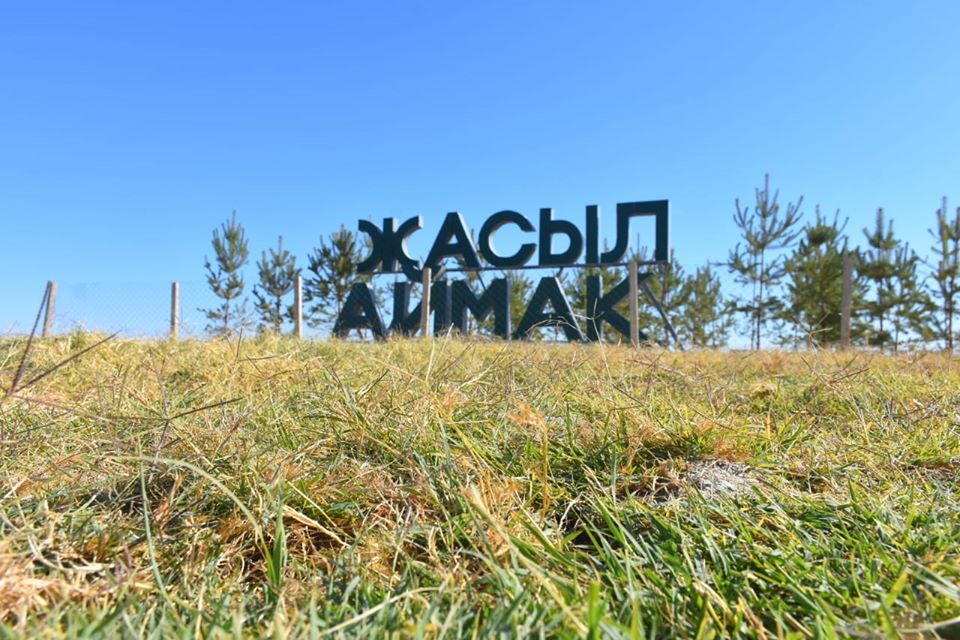 Тұқымбақ, Түркістан