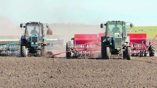 Түркістан облысында жыл басынан бері 706,1 мың тонна өнім экспортталды