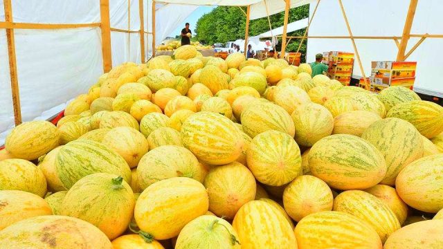 БАӘ кәсіпкерлері Сайрам ауданының қауын-қарбыз шырыны мен тұздығына аса қызығушылық танытқан