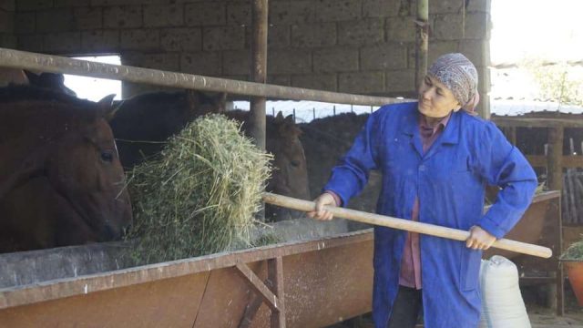 Жылқы бордақылаумен айналысатын жалғызбасты ана