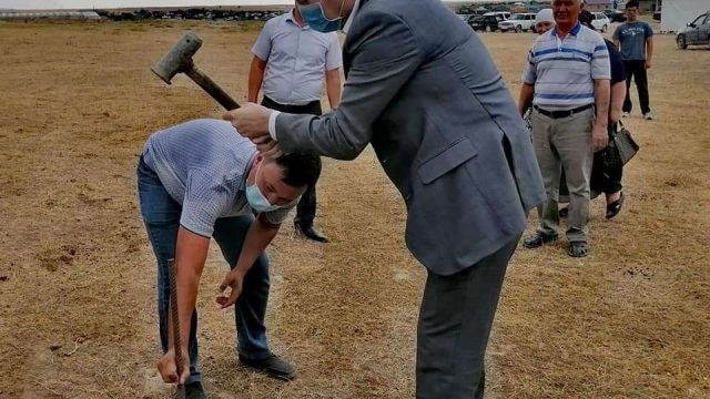 Ордабасы ауданында «Шұбарсу» жылыжай аймағы ашылды