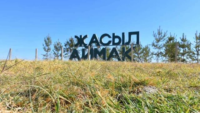Биыл Түркістанда 769 мың түп көшет егілді