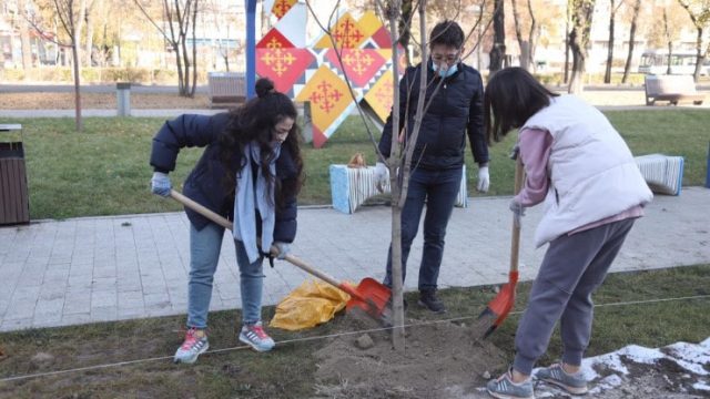 Журналистер Алматы орталығына ағаш отырғызды