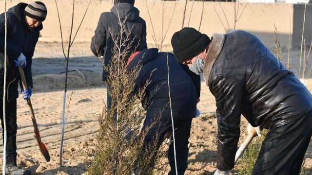 Өмірзақ Шөкеев Ордабасы ауданына бекітілген сектор жұмысымен танысты