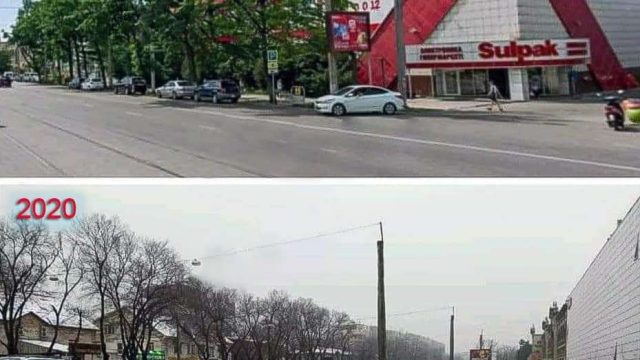 Кейінгі 20 жылда Sulpak аумағында қанша ағаш оталды?