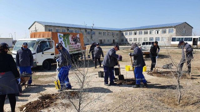 Атырауда «Өз ағашыңды отырғыз» акциясы жалғасын тапты