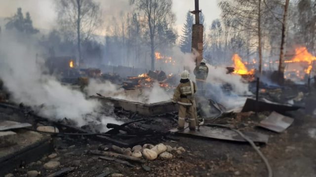 Шығыс Қазақстан облысындағы орман өрті толық сөндірілді