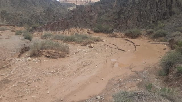 Шарындағы сел: мұғалім мен оқушы қайтыс болды