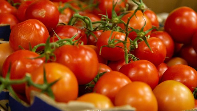 Қазақстанға әкелінген қызанақтан вирус табылды