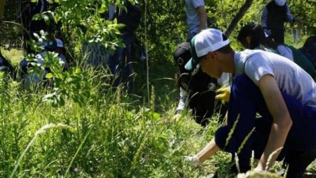 Атырауда «Жасыл ел» еңбек жасақтарының ХҮІІ маусымы басталды