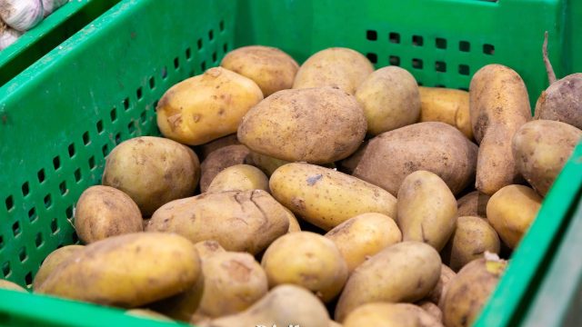 Елімізде картоп қымбаттады: үкімет экспортқа 6 ай шектеу қойды