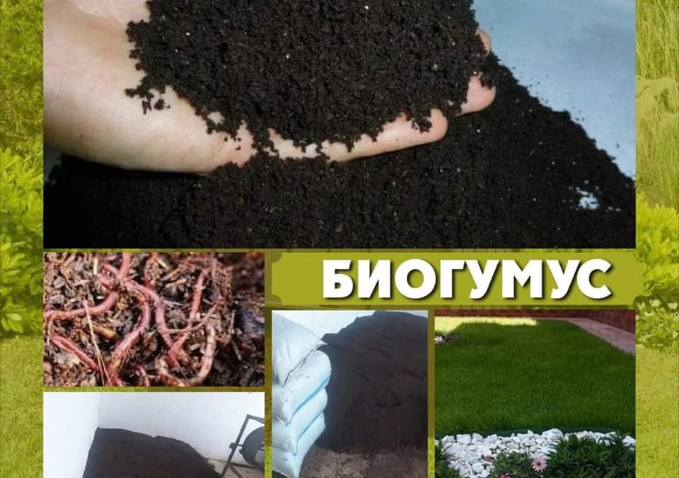 Ордабасы ауданы, кәсіпкер