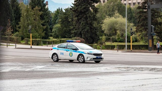ІІМ: Елде кісі өлтіру, тонау және ұрлық фактілері азайды