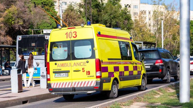 Алматы облысында ірі жол апатынан 2 адам қаза болды